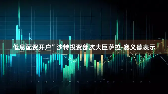 低息配资开户”沙特投资部次大臣萨拉·赛义德表示