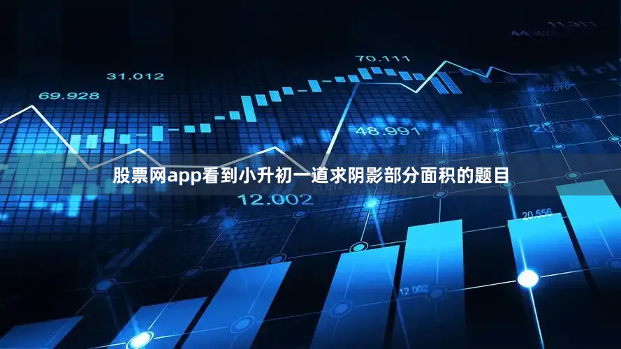 股票网app看到小升初一道求阴影部分面积的题目