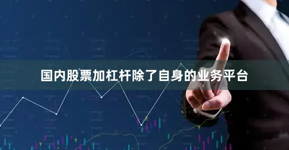 国内股票加杠杆　　除了自身的业务平台