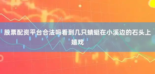 股票配资平台合法吗看到几只蜻蜓在小溪边的石头上嬉戏