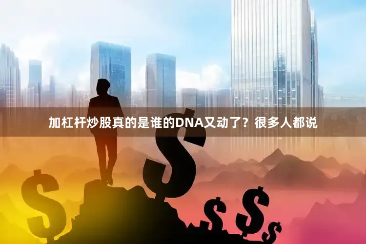 加杠杆炒股真的是谁的DNA又动了？很多人都说