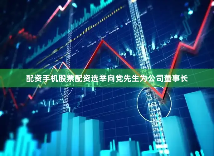 配资手机股票配资选举向党先生为公司董事长